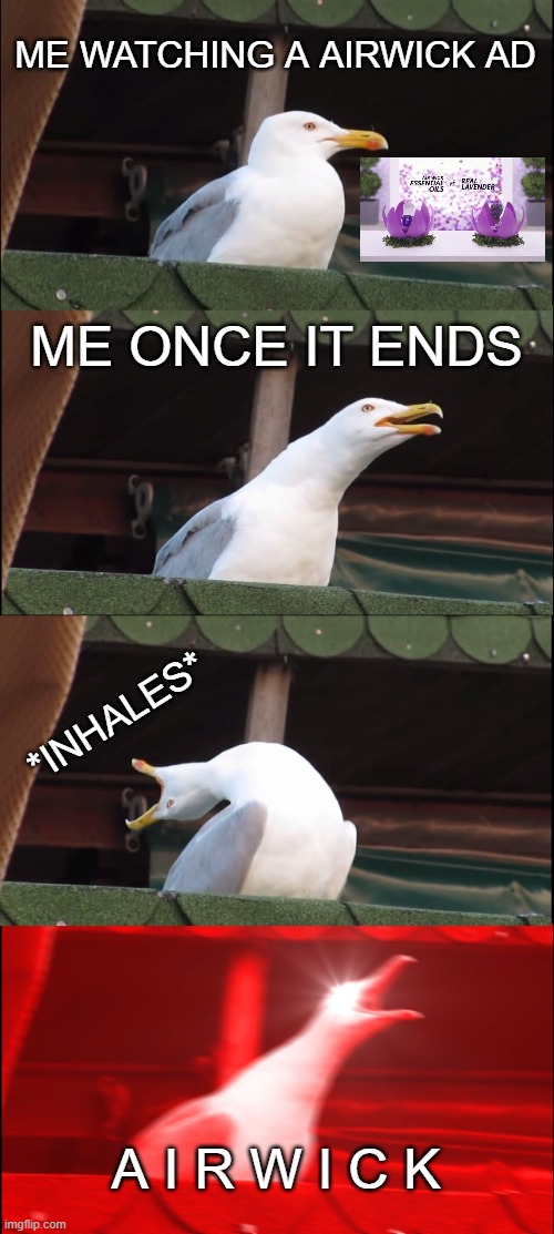 Me Watching Airwick Ad | ME WATCHING A AIRWICK AD; ME ONCE IT ENDS; *INHALES*; A I R W I C K | image tagged in memes,inhaling seagull,ad,airwick | made w/ Imgflip meme maker