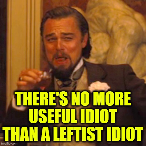 Laughing Leo Meme | THERE'S NO MORE USEFUL IDIOT THAN A LEFTIST IDIOT | image tagged in memes,laughing leo | made w/ Imgflip meme maker