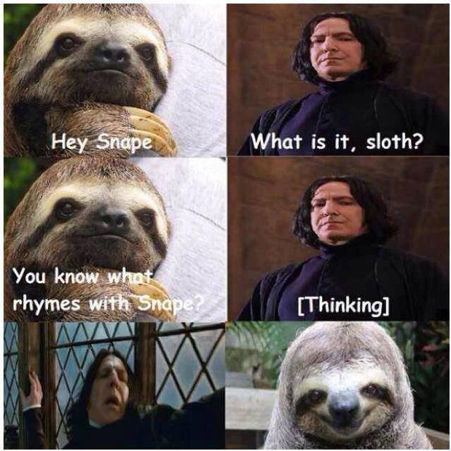 Sloth hey snape Blank Meme Template