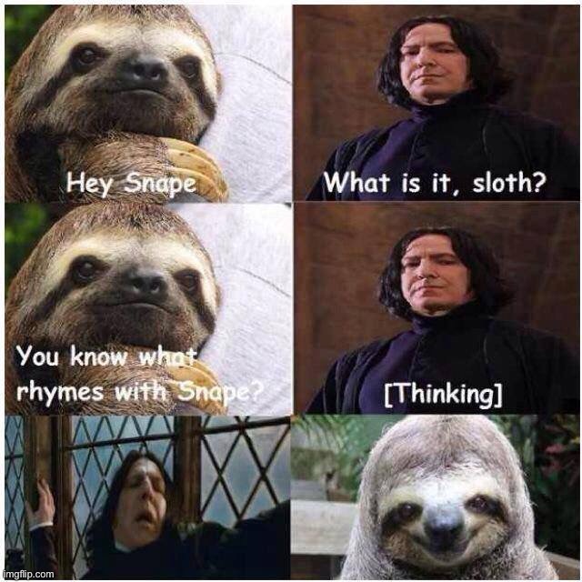 Sloth hey snape | image tagged in sloth hey snape | made w/ Imgflip meme maker