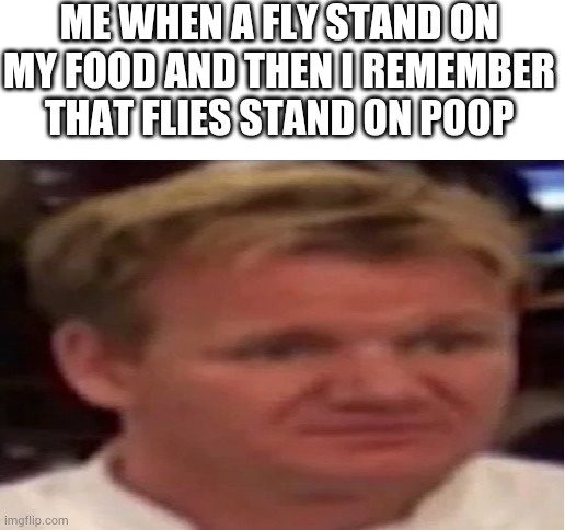 Disgusted Gordon ramsay | ME WHEN A FLY STAND ON MY FOOD AND THEN I REMEMBER THAT FLIES STAND ON POOP | image tagged in blank white template | made w/ Imgflip meme maker