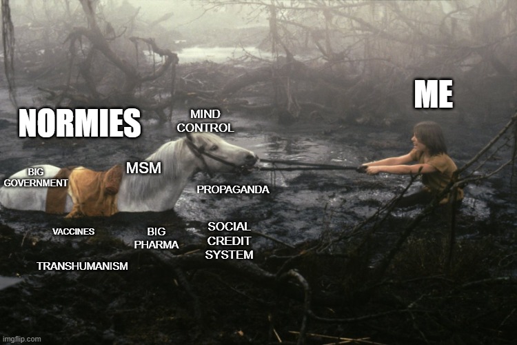 NONE | ME; MIND CONTROL; NORMIES; MSM; BIG GOVERNMENT; PROPAGANDA; SOCIAL CREDIT SYSTEM; VACCINES; BIG PHARMA; TRANSHUMANISM | image tagged in swamp of sadness | made w/ Imgflip meme maker