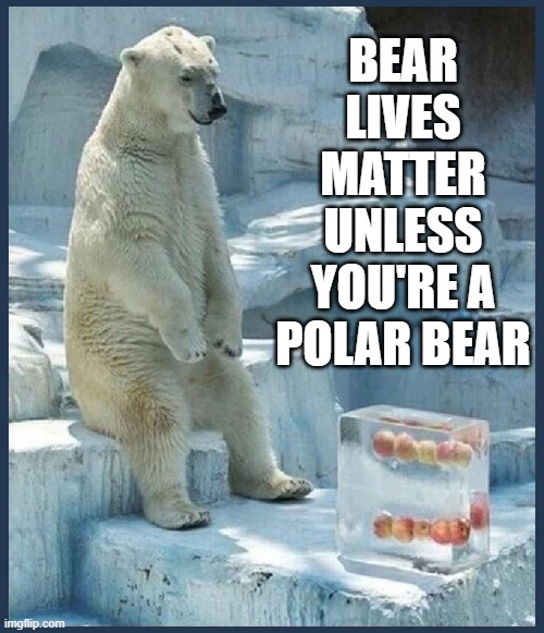 Mostly Peaceful Feedings, they said... | BEAR
LIVES
MATTER
UNLESS
YOU'RE A
POLAR BEAR | image tagged in vince vance,bears,bear,lives matter,polar bears,memes | made w/ Imgflip meme maker
