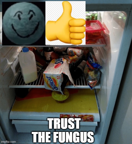 Trust in fungus | TRUST THE FUNGUS | image tagged in cheeky,mugen | made w/ Imgflip meme maker