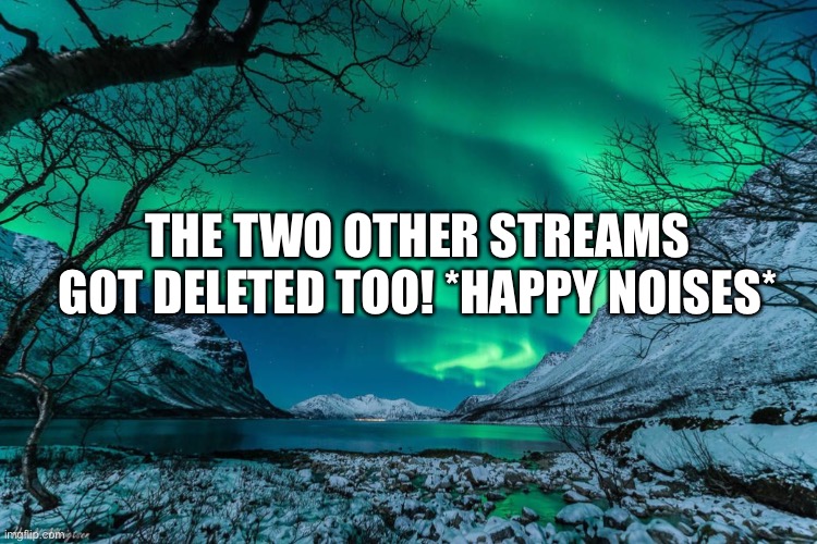 Northern Lights Announcement | THE TWO OTHER STREAMS GOT DELETED TOO! *HAPPY NOISES* | image tagged in northern lights announcement | made w/ Imgflip meme maker