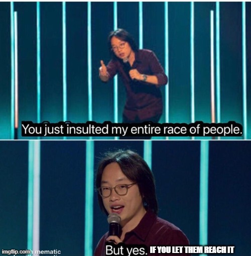 You just insulted my entire race of people | IF YOU LET THEM REACH IT | image tagged in you just insulted my entire race of people | made w/ Imgflip meme maker