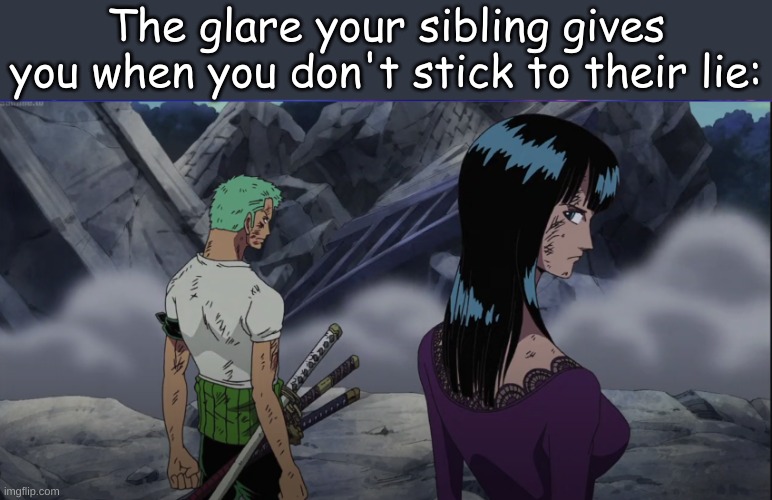 LOL | The glare your sibling gives you when you don't stick to their lie: | image tagged in one piece,zoro,thriller bark arc,anime,funny,nico robin | made w/ Imgflip meme maker