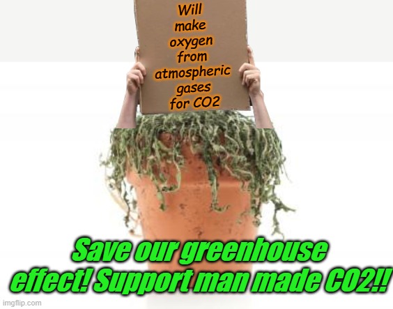 If homeless potted plants could hang out on street corners.... | Will make oxygen from atmospheric gases for CO2; Save our greenhouse effect! Support man made CO2!! | image tagged in dead plant | made w/ Imgflip meme maker