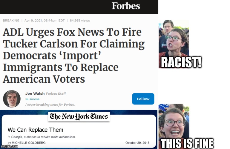 Hypocrisy votes Democrat | RACIST! THIS IS FINE | image tagged in blank white template,liberal hypocrisy | made w/ Imgflip meme maker