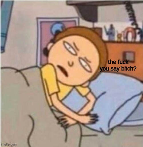 Morty the fuck you say | image tagged in morty the fuck you say | made w/ Imgflip meme maker