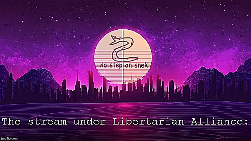 - ah yes, it's in our r e t r o f u t u r e - | image tagged in the stream under libertarian alliance | made w/ Imgflip meme maker