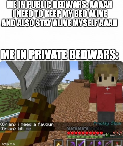 ME IN PUBLIC BEDWARS: AAAAH I NEED TO KEEP MY BED ALIVE AND ALSO STAY ALIVE MYSELF AAAH; ME IN PRIVATE BEDWARS: | image tagged in grian kill me | made w/ Imgflip meme maker