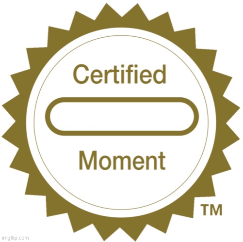 Certified Moment | image tagged in certified moment | made w/ Imgflip meme maker