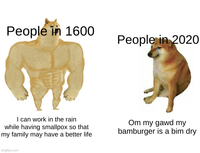 History meme or something | People in 1600; People in 2020; I can work in the rain while having smallpox so that my family may have a better life; Om my gawd my bamburger is a bim dry | image tagged in memes,buff doge vs cheems | made w/ Imgflip meme maker