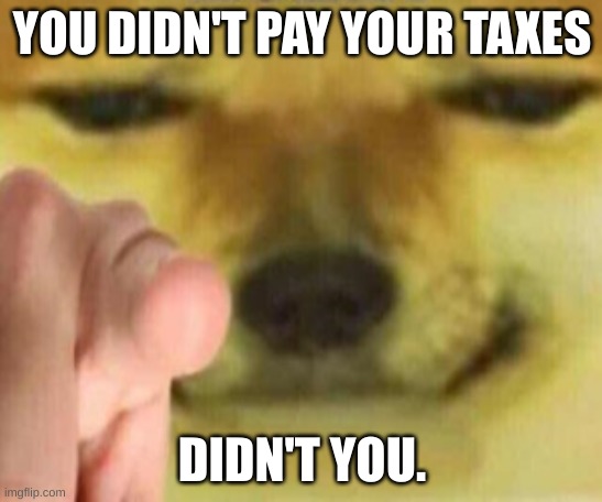 Cheems Pointing At You |  YOU DIDN'T PAY YOUR TAXES; DIDN'T YOU. | image tagged in cheems pointing at you,taxes,cheems | made w/ Imgflip meme maker