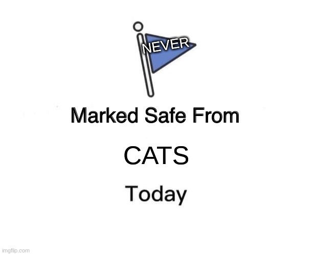 Marked Safe From | NEVER; CATS | image tagged in memes,marked safe from | made w/ Imgflip meme maker
