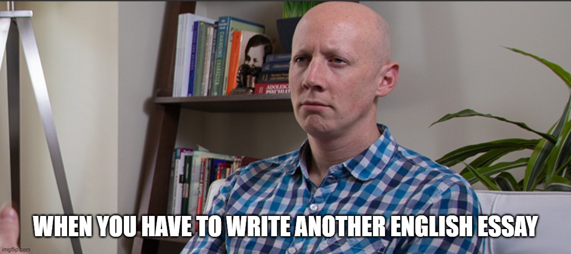 Man looking annoyed | WHEN YOU HAVE TO WRITE ANOTHER ENGLISH ESSAY | image tagged in man looking annoyed | made w/ Imgflip meme maker