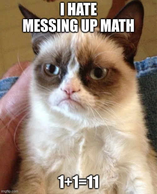 Grumpy Cat | I HATE MESSING UP MATH; 1+1=11 | image tagged in memes,grumpy cat | made w/ Imgflip meme maker