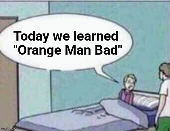 Dad ! | Today we learned
   "Orange Man Bad" | image tagged in dad | made w/ Imgflip meme maker