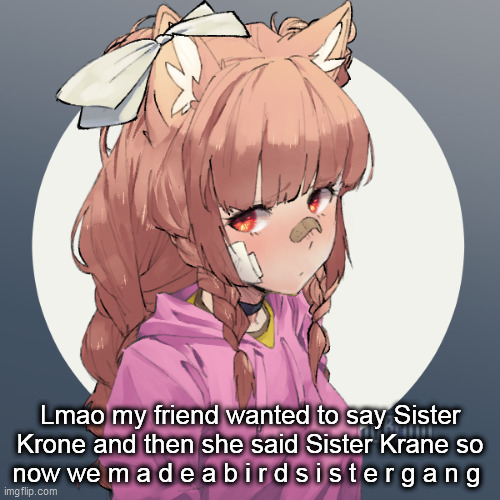 Lmao my friend wanted to say Sister Krone and then she said Sister Krane so now we m a d e a b i r d s i s t e r g a n g | image tagged in ginger 3 | made w/ Imgflip meme maker