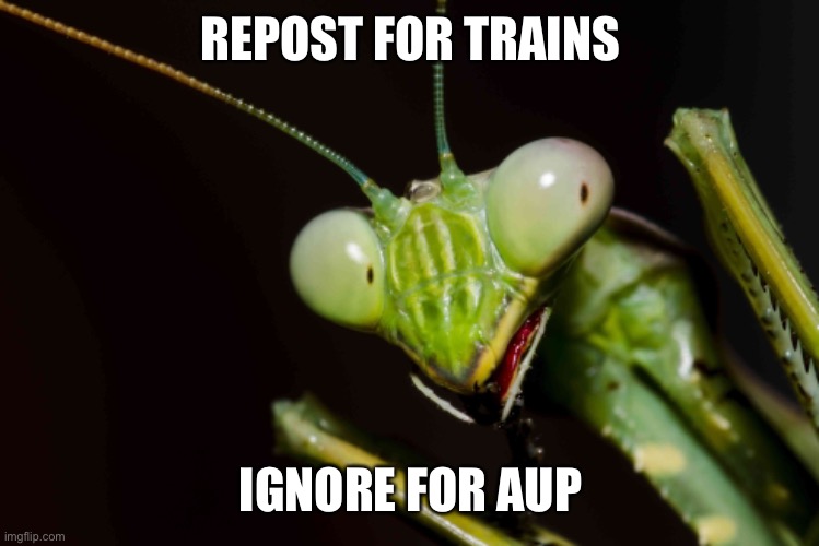 Libertarian Alliance: On track for a better Imgflip | REPOST FOR TRAINS; IGNORE FOR AUP | image tagged in you just got mantised | made w/ Imgflip meme maker