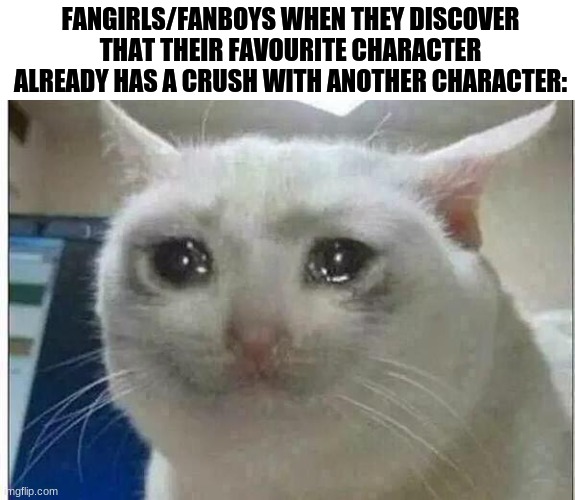 crying cat | FANGIRLS/FANBOYS WHEN THEY DISCOVER THAT THEIR FAVOURITE CHARACTER ALREADY HAS A CRUSH WITH ANOTHER CHARACTER: | image tagged in crying cat,fangirls,fanboys,meme,memes | made w/ Imgflip meme maker
