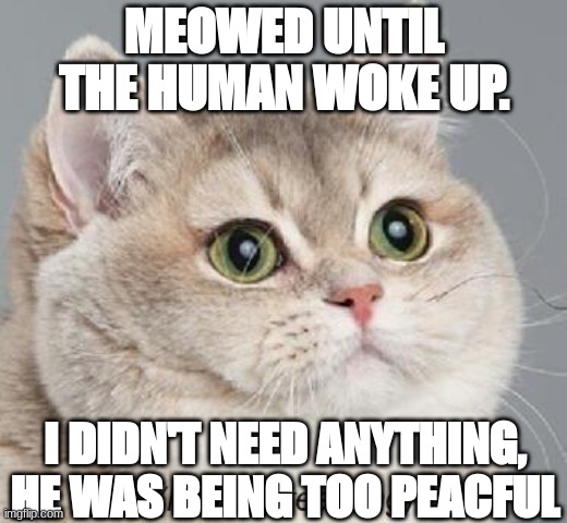 Heavy Breathing Cat | MEOWED UNTIL THE HUMAN WOKE UP. I DIDN'T NEED ANYTHING, HE WAS BEING TOO PEACFUL | image tagged in memes,heavy breathing cat | made w/ Imgflip meme maker