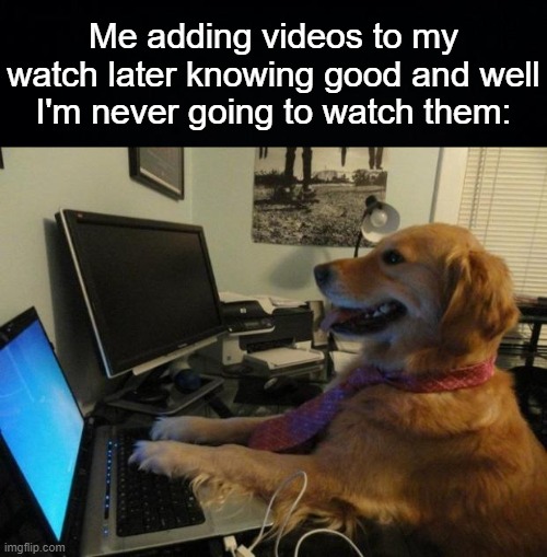 it do be like dat doe | Me adding videos to my watch later knowing good and well I'm never going to watch them: | image tagged in black background,dog behind a computer | made w/ Imgflip meme maker