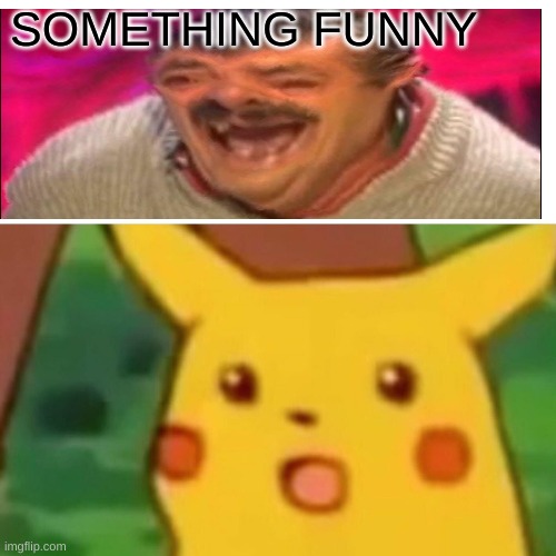 SOMETHING FUNNY | SOMETHING FUNNY | image tagged in memes,surprised pikachu | made w/ Imgflip meme maker