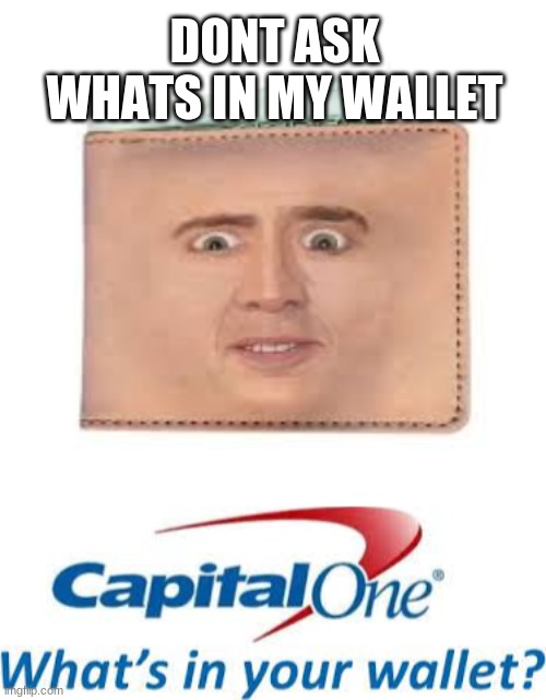 DONT ASK WHATS IN MY WALLET | image tagged in capital one | made w/ Imgflip meme maker