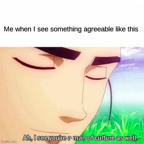 Me when I see something agreeable like this | image tagged in ah i see you are a man of culture as well | made w/ Imgflip meme maker