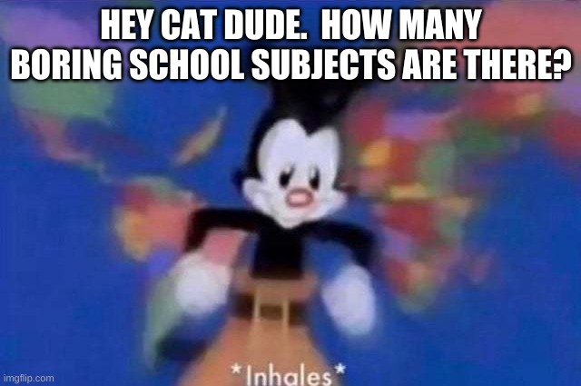SCHOOL SUX | HEY CAT DUDE.  HOW MANY BORING SCHOOL SUBJECTS ARE THERE? | image tagged in inhales | made w/ Imgflip meme maker