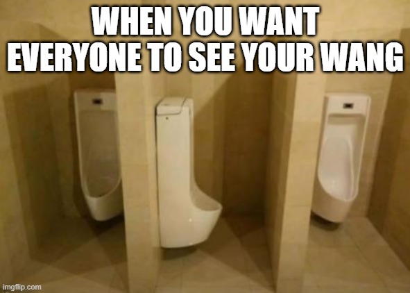 Sideways | WHEN YOU WANT EVERYONE TO SEE YOUR WANG | image tagged in you had one job | made w/ Imgflip meme maker