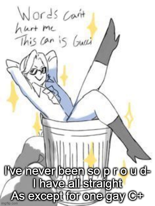 Words can't hurt me this can is gucci | I've never been so p r o u d-
I have all straight As except for one gay C+ | image tagged in words can't hurt me this can is gucci | made w/ Imgflip meme maker