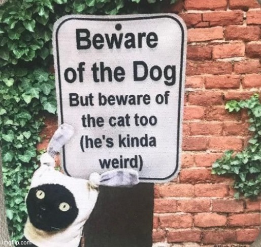 he's a little wEiRd | made w/ Imgflip meme maker