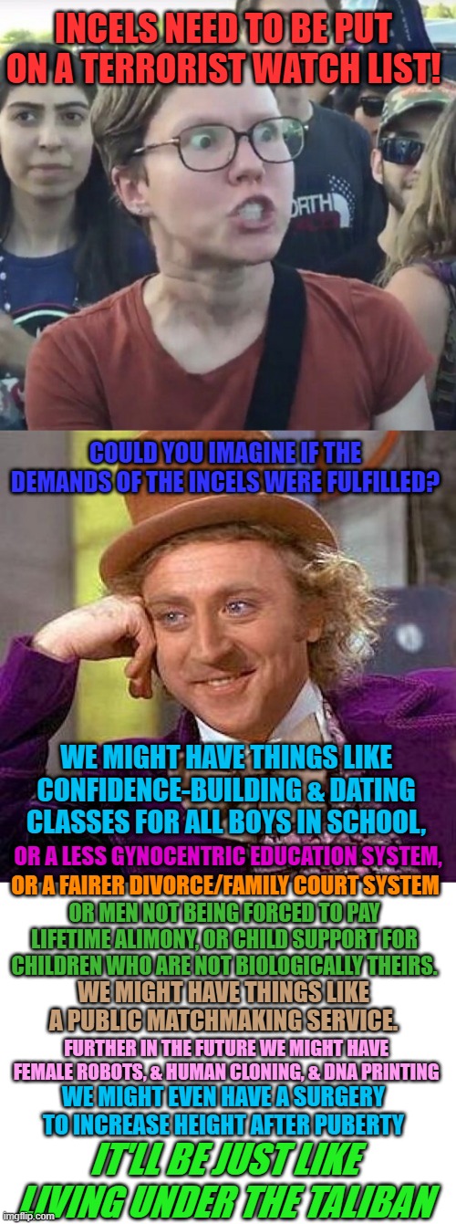 INCELS NEED TO BE PUT ON A TERRORIST WATCH LIST! COULD YOU IMAGINE IF THE DEMANDS OF THE INCELS WERE FULFILLED? WE MIGHT HAVE THINGS LIKE CONFIDENCE-BUILDING & DATING CLASSES FOR ALL BOYS IN SCHOOL, OR A LESS GYNOCENTRIC EDUCATION SYSTEM, OR A FAIRER DIVORCE/FAMILY COURT SYSTEM; OR MEN NOT BEING FORCED TO PAY LIFETIME ALIMONY, OR CHILD SUPPORT FOR CHILDREN WHO ARE NOT BIOLOGICALLY THEIRS. WE MIGHT HAVE THINGS LIKE A PUBLIC MATCHMAKING SERVICE. FURTHER IN THE FUTURE WE MIGHT HAVE FEMALE ROBOTS, & HUMAN CLONING, & DNA PRINTING; WE MIGHT EVEN HAVE A SURGERY TO INCREASE HEIGHT AFTER PUBERTY; IT'LL BE JUST LIKE LIVING UNDER THE TALIBAN | image tagged in triggered feminist,memes,creepy condescending wonka,incel,dating,terrorist | made w/ Imgflip meme maker