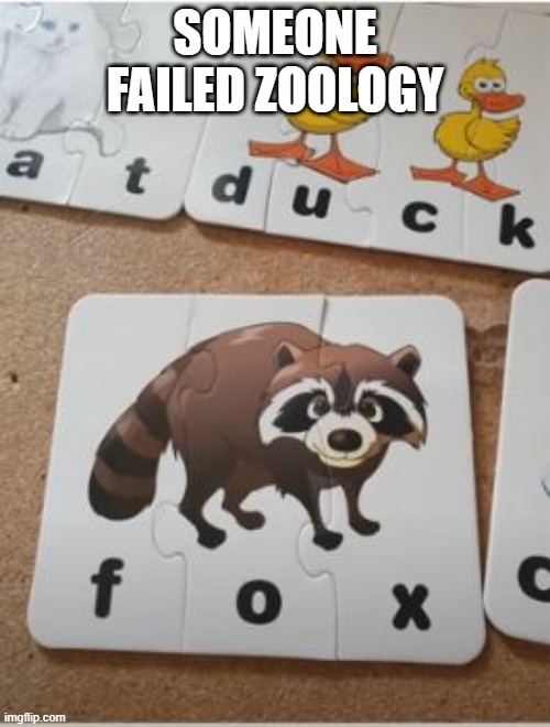 What Does the Fox Look Like? | SOMEONE FAILED ZOOLOGY | image tagged in you had one job | made w/ Imgflip meme maker