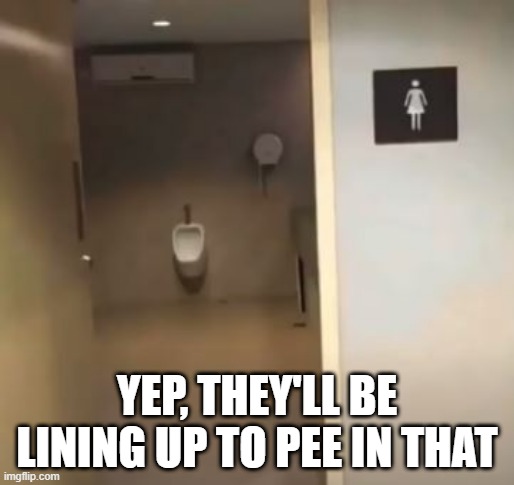 When You See It...... | YEP, THEY'LL BE LINING UP TO PEE IN THAT | image tagged in you had one job | made w/ Imgflip meme maker