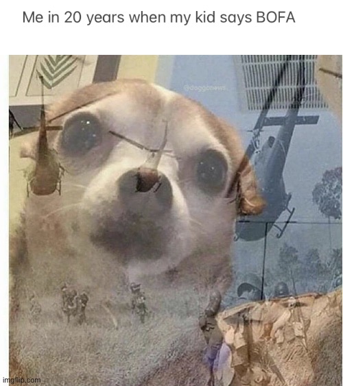 image tagged in ptsd chihuahua,bofa deez nuts,bofa,memes,funny,barney will eat all of your delectable biscuits | made w/ Imgflip meme maker