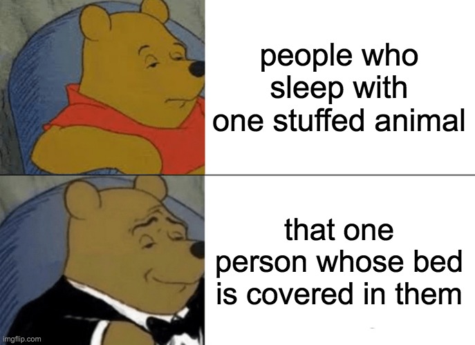Tuxedo Winnie The Pooh Meme | people who sleep with one stuffed animal; that one person whose bed is covered in them | image tagged in memes,tuxedo winnie the pooh | made w/ Imgflip meme maker