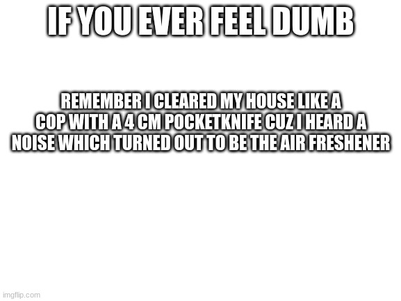 I'm Dumb | IF YOU EVER FEEL DUMB; REMEMBER I CLEARED MY HOUSE LIKE A COP WITH A 4 CM POCKETKNIFE CUZ I HEARD A NOISE WHICH TURNED OUT TO BE THE AIR FRESHENER | image tagged in blank white template,cop,alone,dumb | made w/ Imgflip meme maker