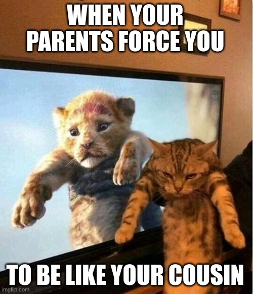 When your parents force you to be like your cousin | WHEN YOUR PARENTS FORCE YOU; TO BE LIKE YOUR COUSIN | image tagged in cats,lolcats,lolz,lion king,simba | made w/ Imgflip meme maker