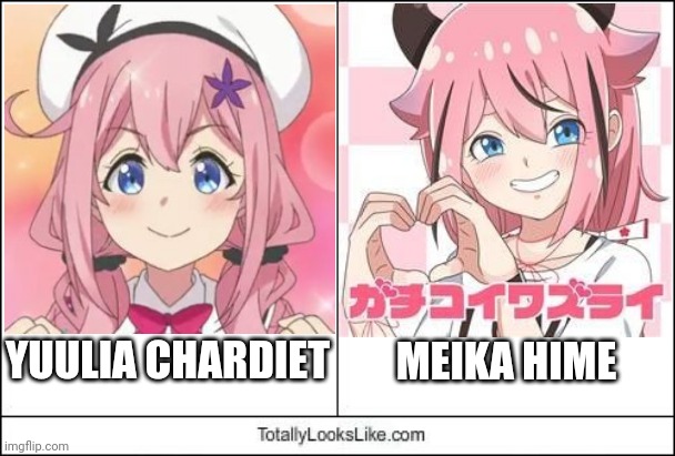 Totally Looks Like | MEIKA HIME; YUULIA CHARDIET | image tagged in totally looks like | made w/ Imgflip meme maker