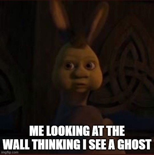 ghost | ME LOOKING AT THE WALL THINKING I SEE A GHOST | image tagged in scary | made w/ Imgflip meme maker