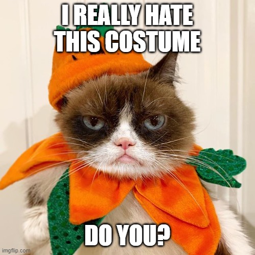 Grumpy Cat Halloween | I REALLY HATE THIS COSTUME DO YOU? | image tagged in grumpy cat halloween | made w/ Imgflip meme maker