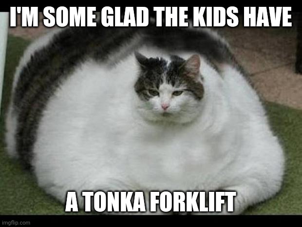 fat cat 2 |  I'M SOME GLAD THE KIDS HAVE; A TONKA FORKLIFT | image tagged in fat cat 2 | made w/ Imgflip meme maker