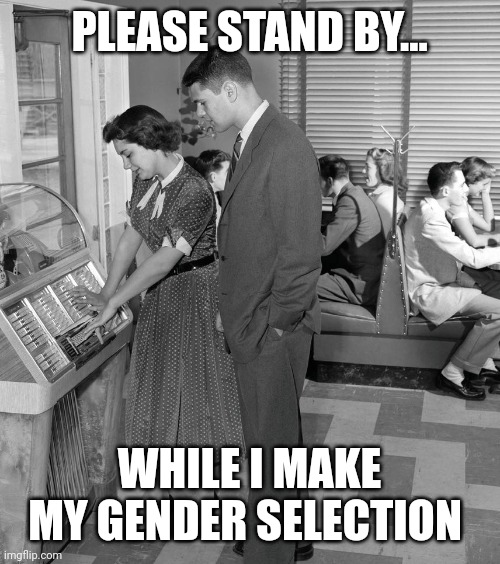 PLEASE STAND BY... WHILE I MAKE MY GENDER SELECTION | image tagged in funny memes | made w/ Imgflip meme maker