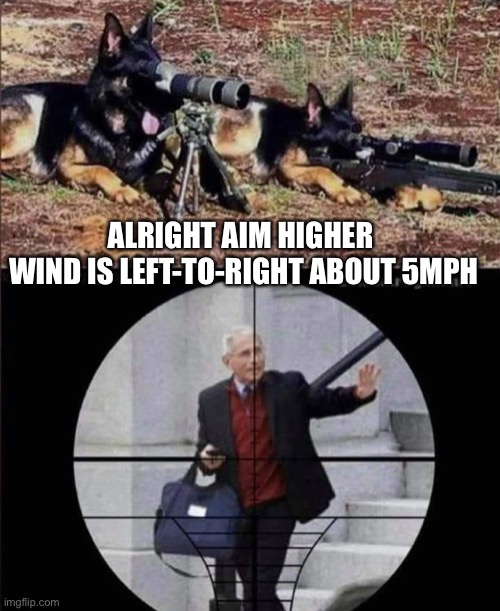 German Shepherds scoping out Fauci | ALRIGHT AIM HIGHER 
WIND IS LEFT-TO-RIGHT ABOUT 5MPH | image tagged in german shepherds scoping out fauci | made w/ Imgflip meme maker