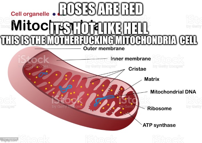 Image tagged in cell,mitochondria Imgflip
