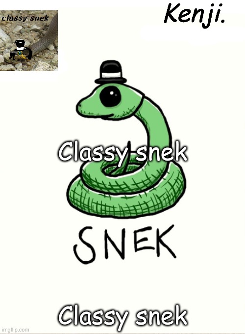 snek | Classy snek; Classy snek | image tagged in snek | made w/ Imgflip meme maker